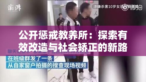 公开惩戒教养所：探索有效改造与社会矫正的新路径