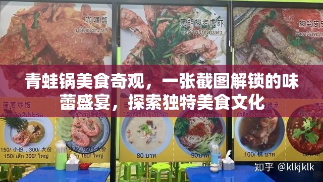 青蛙锅美食奇观，一张截图解锁的味蕾盛宴，探索独特美食文化