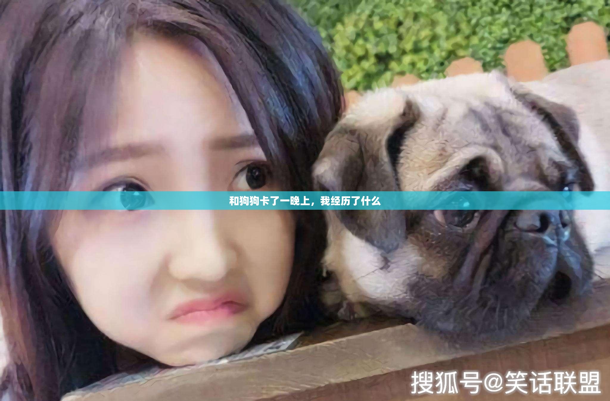 和狗狗卡了一晚上，我经历了什么