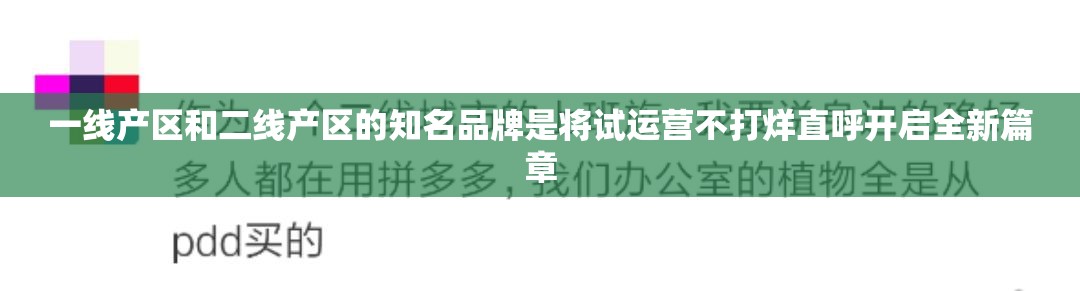 一线产区和二线产区的知名品牌是将试运营不打烊直呼开启全新篇章