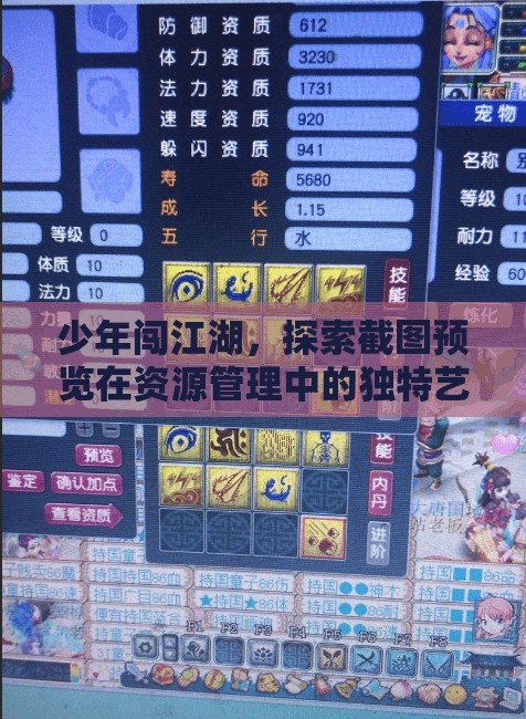 少年闯江湖，探索截图预览在资源管理中的独特艺术与运用