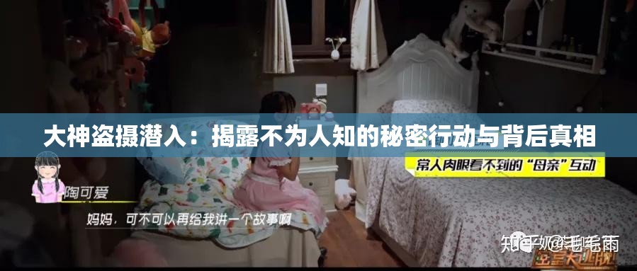 大神盗摄潜入：揭露不为人知的秘密行动与背后真相