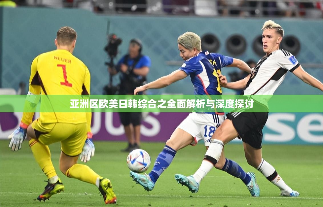 亚洲区欧美日韩综合之全面解析与深度探讨