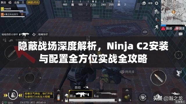 隐蔽战场深度解析，Ninja C2安装与配置全方位实战全攻略