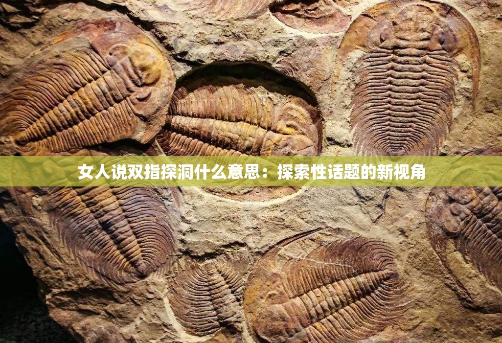 女人说双指探洞什么意思：探索性话题的新视角