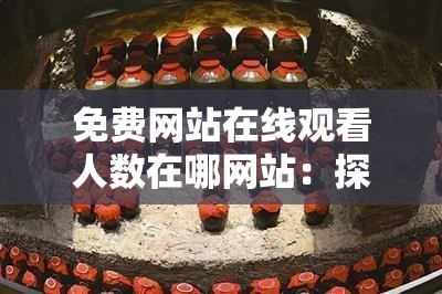 免费网站在线观看人数在哪网站：探寻其具体位置及相关信息