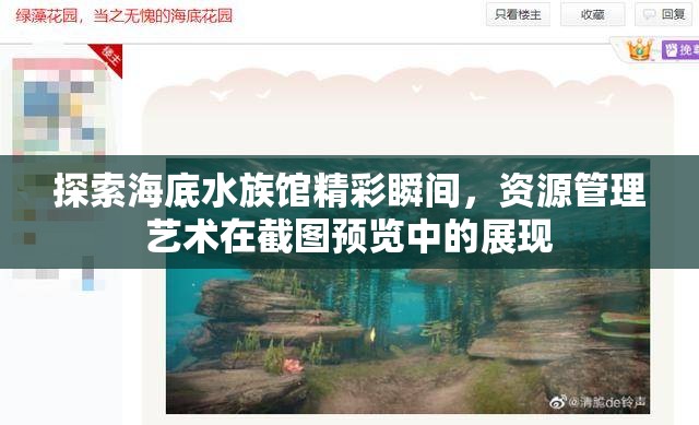 探索海底水族馆精彩瞬间，资源管理艺术在截图预览中的展现