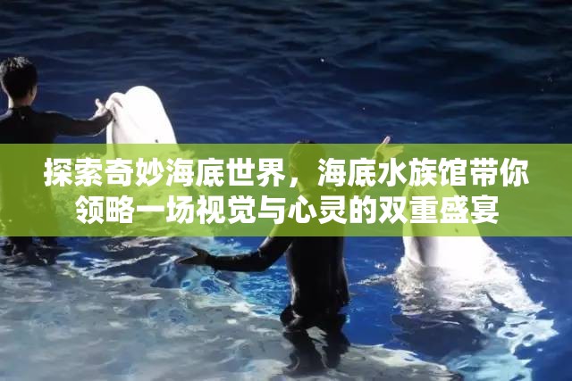 探索奇妙海底世界，海底水族馆带你领略一场视觉与心灵的双重盛宴