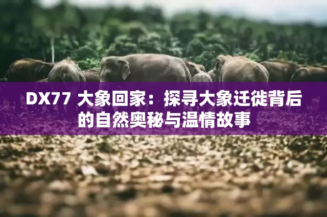 DX77 大象回家：探寻大象迁徙背后的自然奥秘与温情故事
