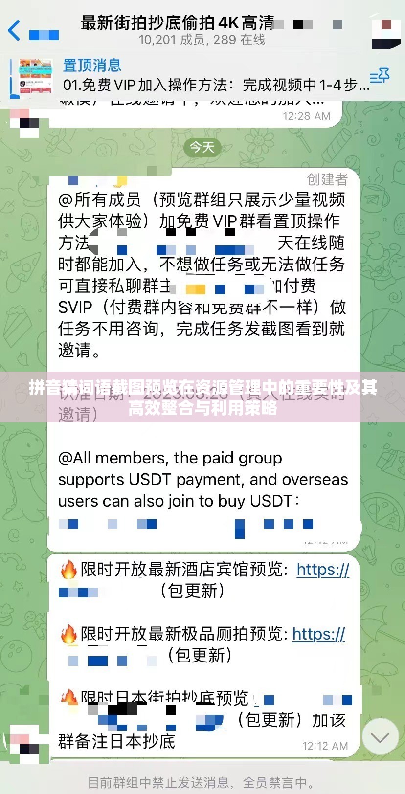 拼音猜词语截图预览在资源管理中的重要性及其高效整合与利用策略