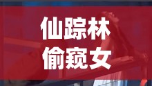 仙踪林偷窥女人卫生间事件引发的社会关注与思考
