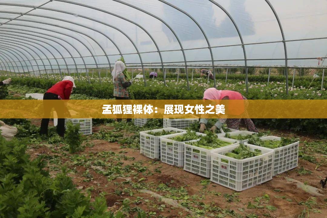 孟狐狸裸体：展现女性之美