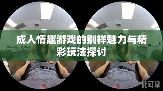 成人情趣游戏的别样魅力与精彩玩法探讨