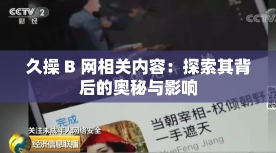 久操 B 网相关内容：探索其背后的奥秘与影响
