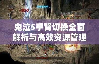 鬼泣5手臂切换全面解析与高效资源管理策略指南