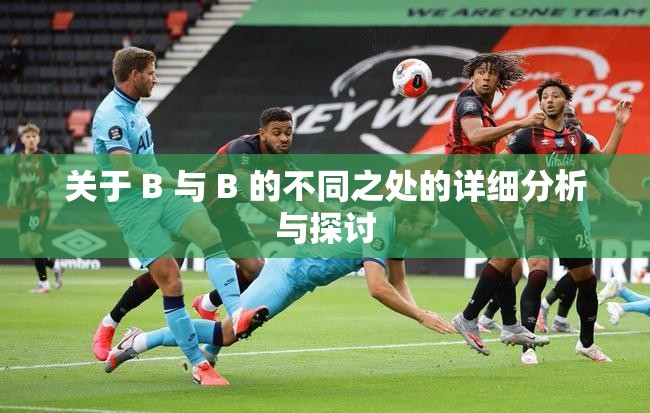 关于 B 与 B 的不同之处的详细分析与探讨