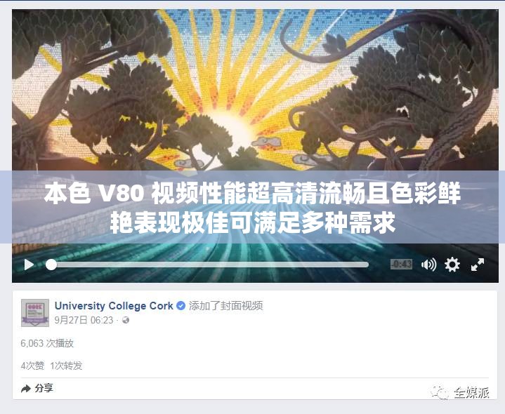 本色 V80 视频性能超高清流畅且色彩鲜艳表现极佳可满足多种需求