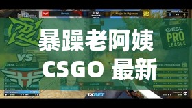 暴躁老阿姨 CSGO 最新-带你领略不一样的游戏精彩世界