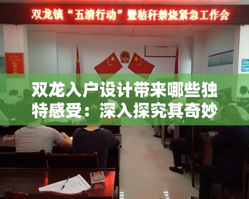 双龙入户设计带来哪些独特感受：深入探究其奇妙魅力