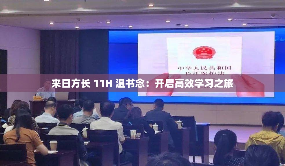 来日方长 11H 温书念：开启高效学习之旅
