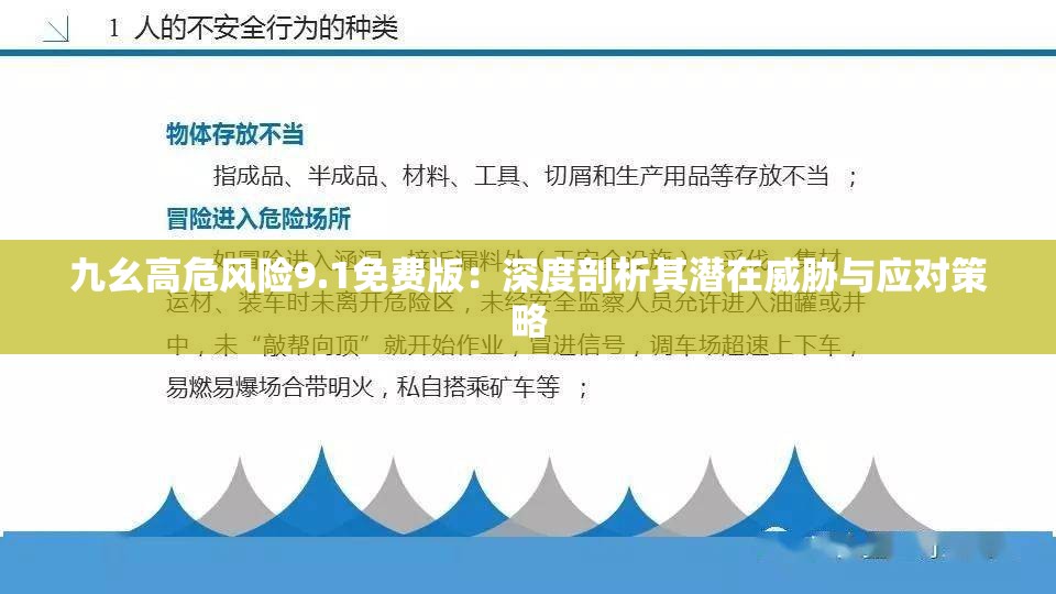 九幺高危风险9.1免费版：深度剖析其潜在威胁与应对策略
