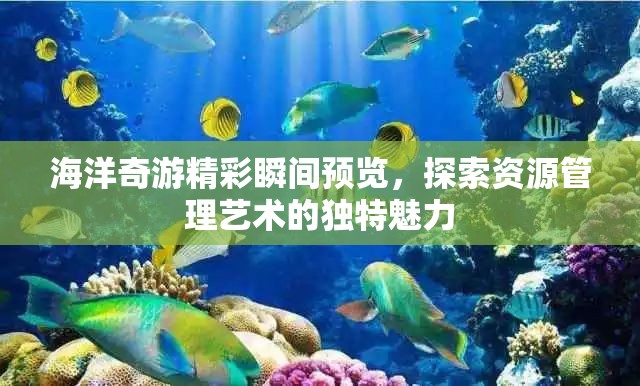 海洋奇游精彩瞬间预览，探索资源管理艺术的独特魅力