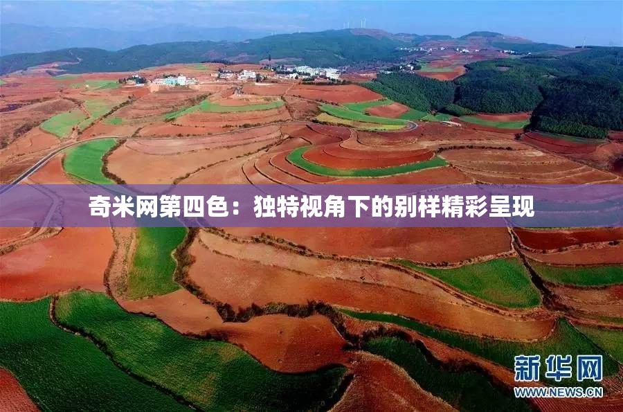 奇米网第四色：独特视角下的别样精彩呈现