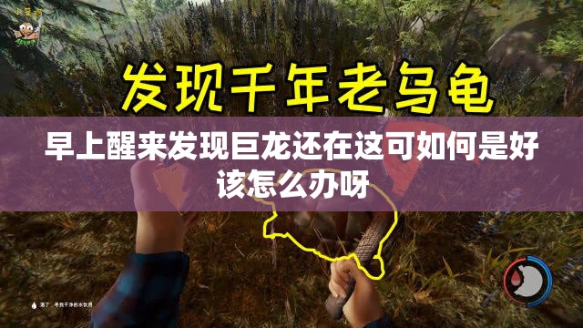 早上醒来发现巨龙还在这可如何是好该怎么办呀