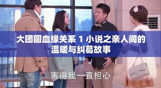 大团圆血缘关系 1 小说之亲人间的温暖与纠葛故事