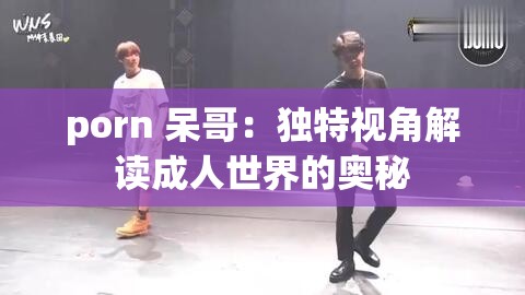 porn 呆哥：独特视角解读成人世界的奥秘