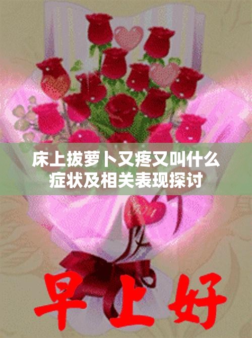 床上拔萝卜又疼又叫什么症状及相关表现探讨