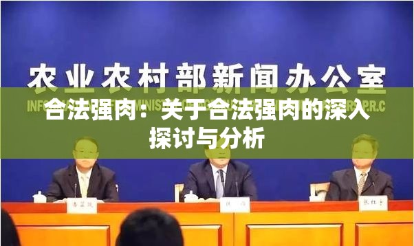 合法强肉：关于合法强肉的深入探讨与分析