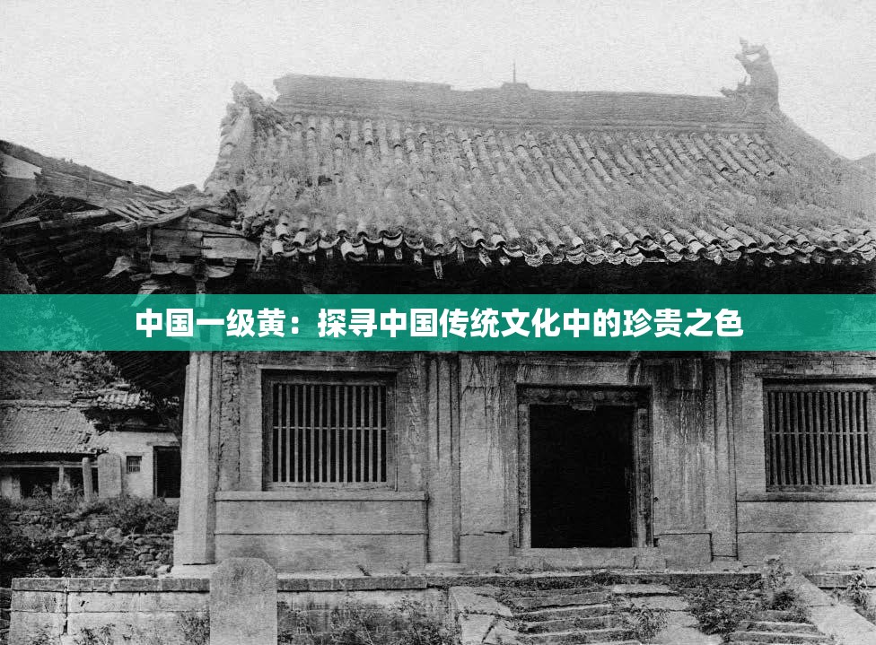 中国一级黄：探寻中国传统文化中的珍贵之色
