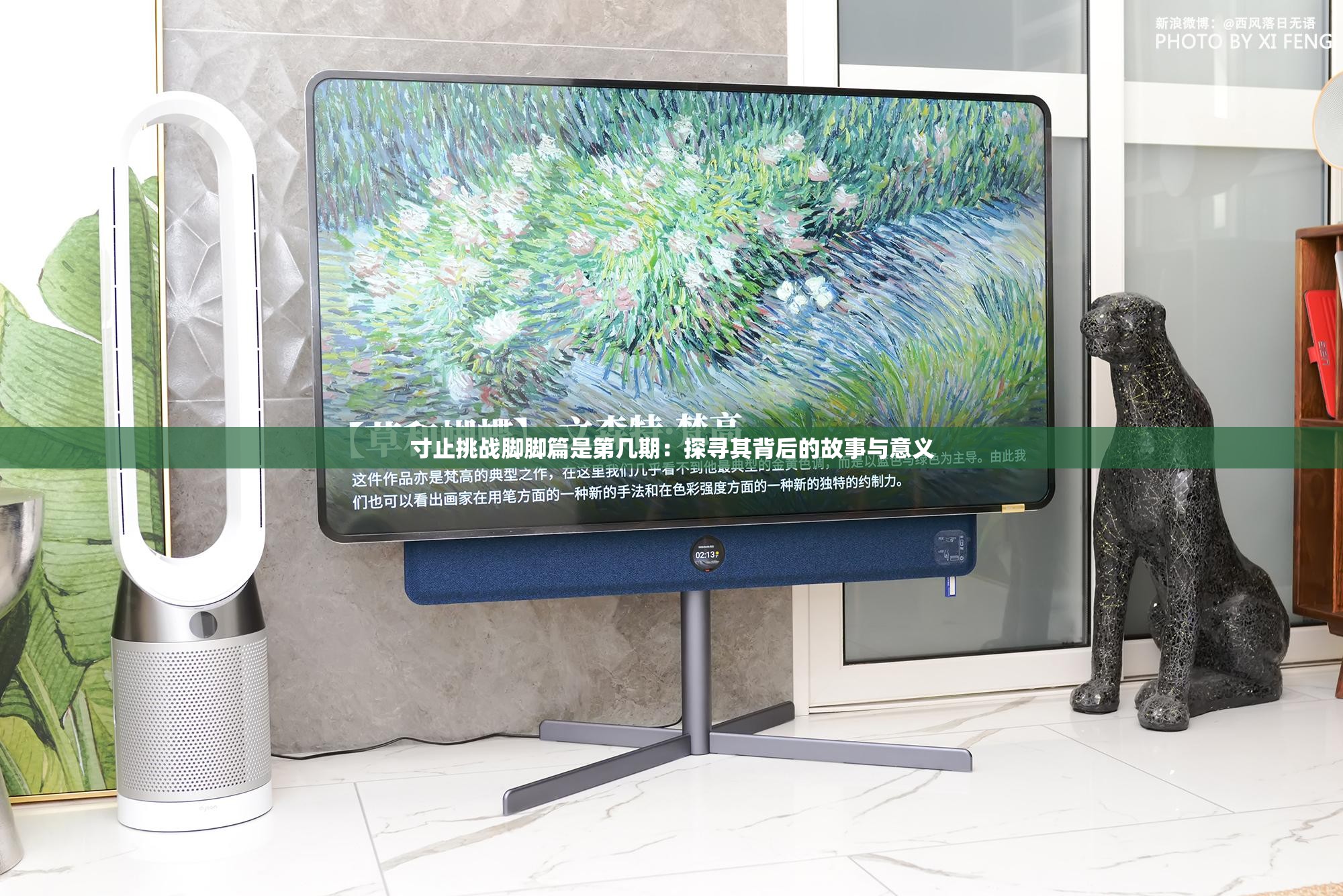 寸止挑战脚脚篇是第几期：探寻其背后的故事与意义