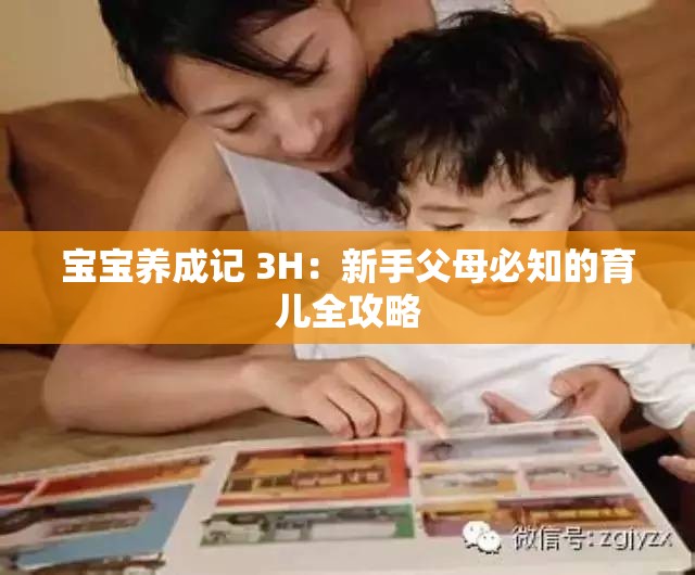 宝宝养成记 3H：新手父母必知的育儿全攻略