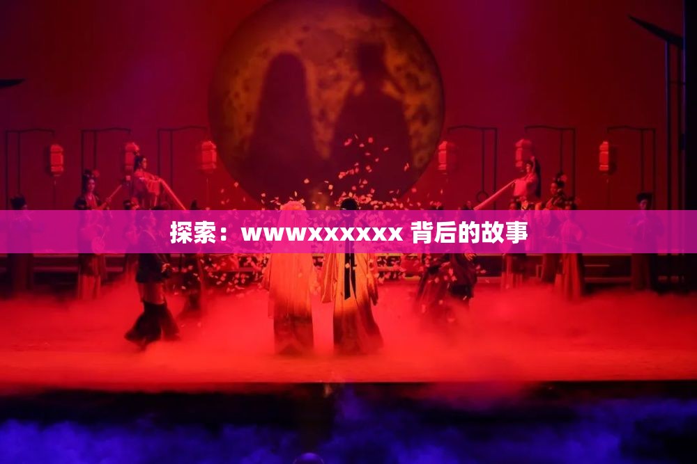 探索：wwwxxxxxx 背后的故事