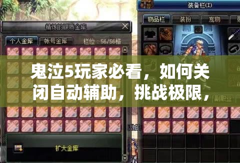 鬼泣5玩家必看，如何关闭自动辅助，挑战极限，尽享纯粹战斗快感指南