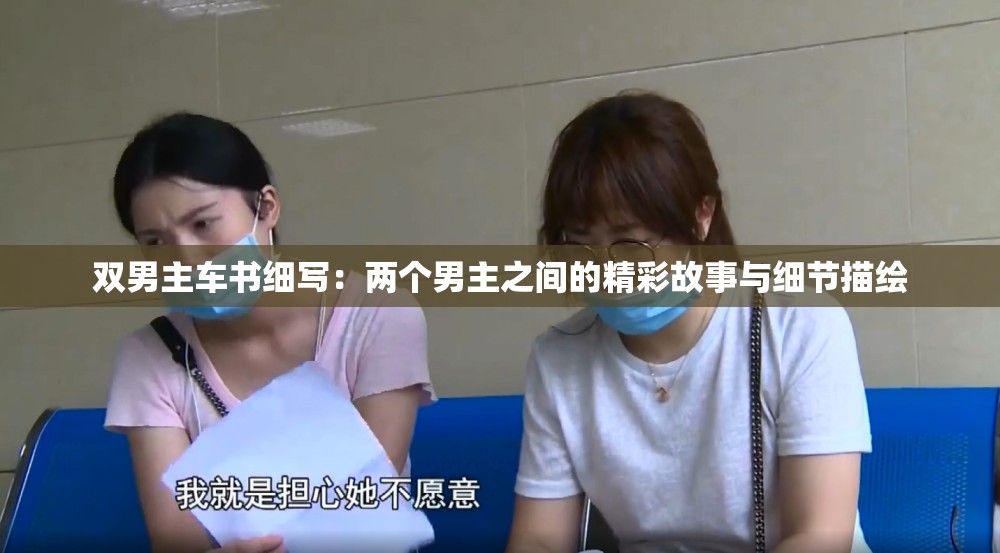 双男主车书细写：两个男主之间的精彩故事与细节描绘