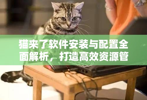 猫来了软件安装与配置全面解析，打造高效资源管理的实用指南