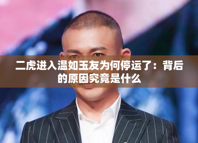 二虎进入温如玉友为何停运了：背后的原因究竟是什么