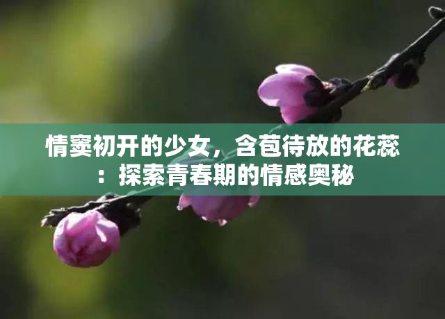情窦初开的少女，含苞待放的花蕊：探索青春期的情感奥秘