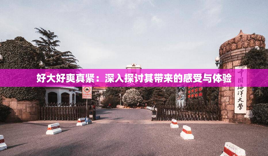 好大好爽真紧：深入探讨其带来的感受与体验