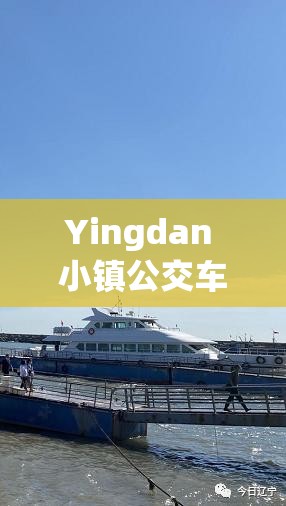 Yingdan 小镇公交车尺寸有何特别：探究其独特之处与背后原因