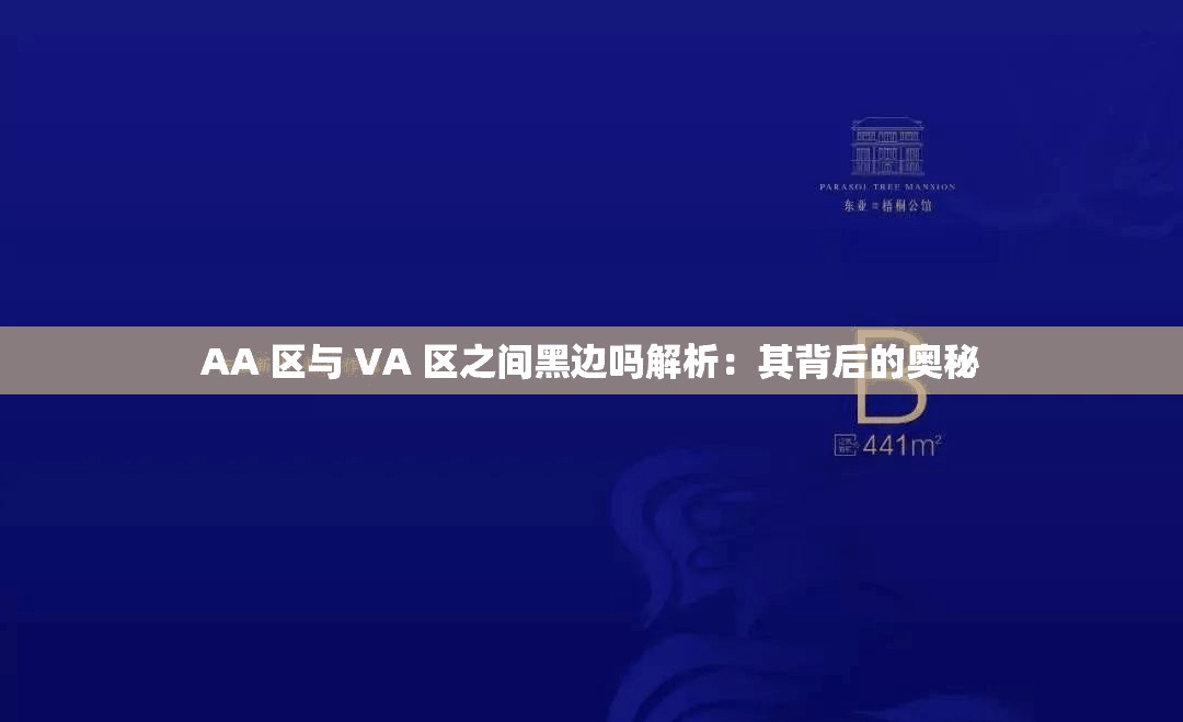 AA 区与 VA 区之间黑边吗解析：其背后的奥秘