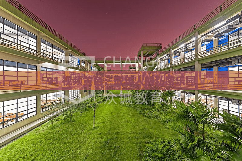 91 视频黄色：成年人的私密乐园