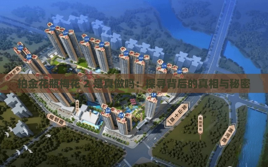 拍金花瓶梅花 2 是真做吗：探寻背后的真相与秘密