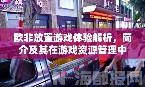 欧非放置游戏体验解析，简介及其在游戏资源管理中的核心重要性