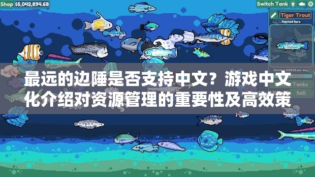 最远的边陲是否支持中文？游戏中文化介绍对资源管理的重要性及高效策略解析