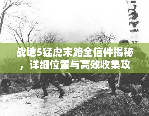 战地5猛虎末路全信件揭秘，详细位置与高效收集攻略指南