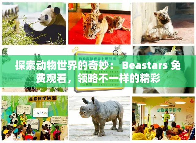 探索动物世界的奇妙： Beastars 免费观看，领略不一样的精彩